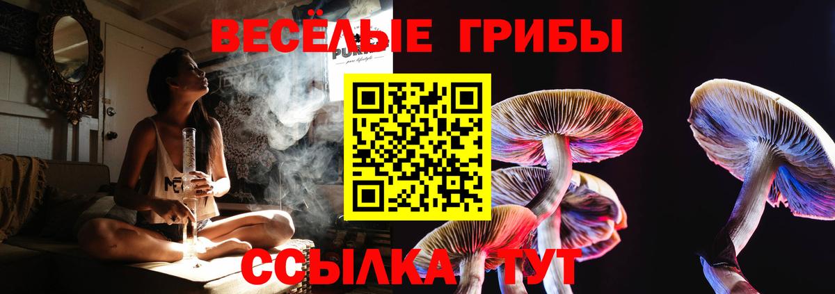 Галлюциногенные грибы ЛСД  Псилоцибиновые грибы Cubensis  купить закладку  Вход с VPN  Елабуга 